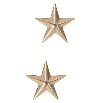 Brigadier General Insignia Stars